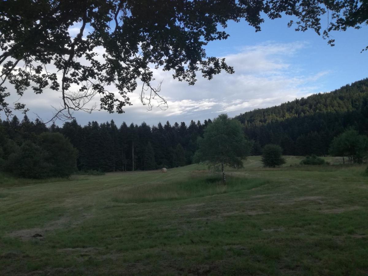 Kuca Za Odmor "Jasna" Leilighet Crni Lug Eksteriør bilde